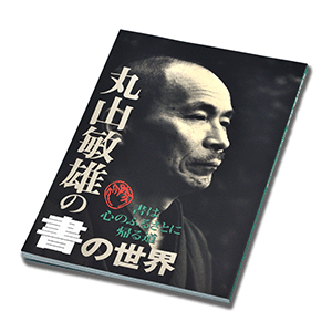 『丸山敏雄の書の世界』